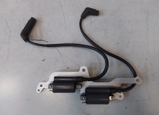 Zundspule Aprilia RSV 1000