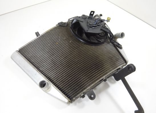 Radiator Suzuki GSX R 1000