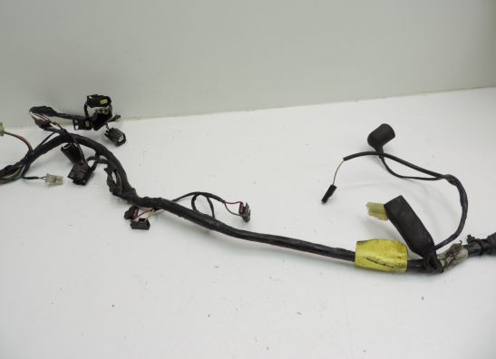 Kabelbaum Triumph Trophy 1200