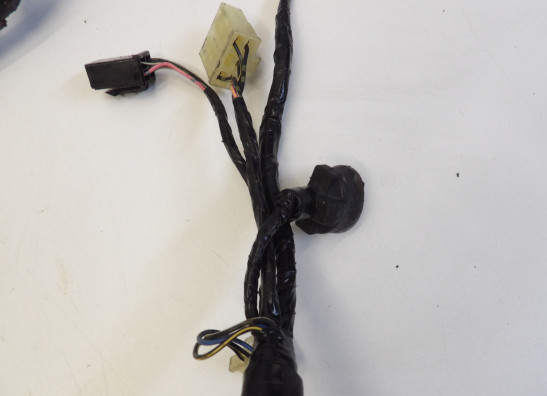 Kabelboom Honda CBR 600 F