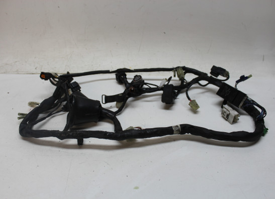 Kabelbaum Yamaha FAZER 1000