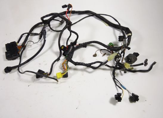 Wire Harness Suzuki GSX F 600