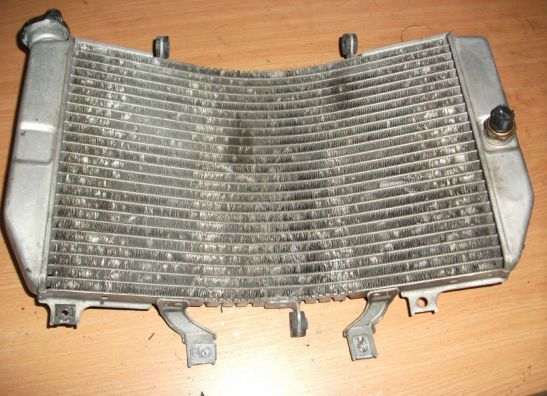 Radiator Suzuki GSX R 1000