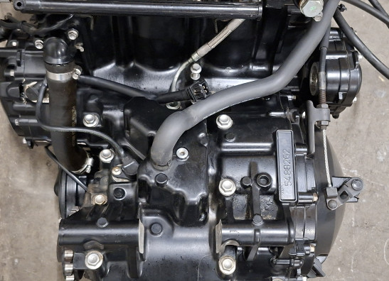 Motorblok Triumph Tiger 1050