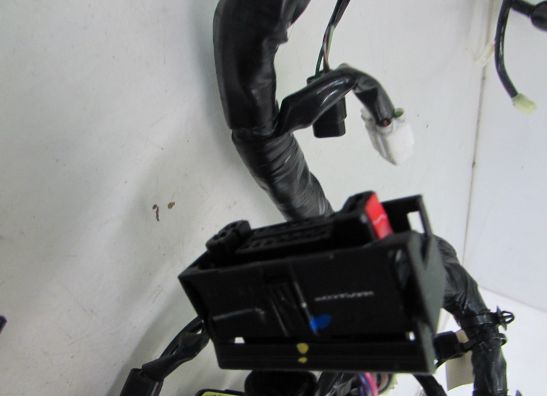 Kabelbaum Kawasaki Z 300