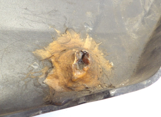 Cowl right small Suzuki GS 850