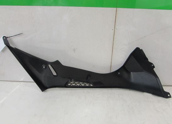 Tankschutz BMW S 1000 RR