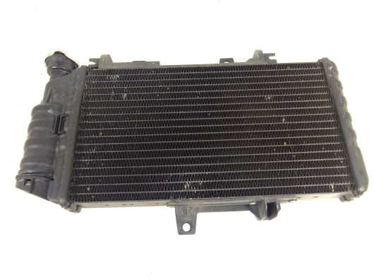 Radiateur BMW F 650 GS 2008-2013