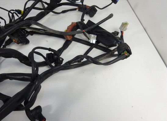 Kabelboom MV Agusta 750 Brutale