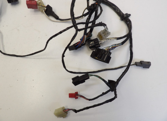 Kabelboom Kawasaki ZX 9 R