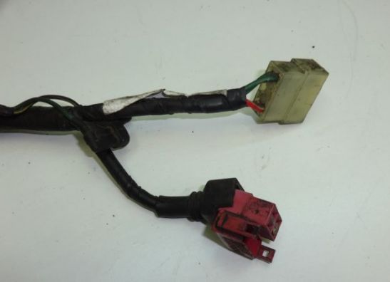 Wire Harness Honda TRANSALP
