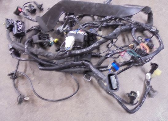 Kabelbaum Triumph Thruxton TFC