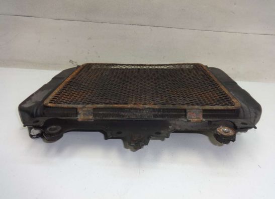 Radiator Kawasaki GPZ 500