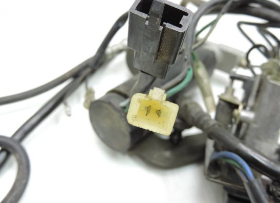 Sonstiges Honda Goldwing GL