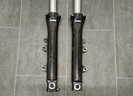 Voorpoten Yamaha V max