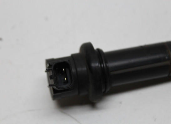 Bobine Yamaha YZF R1