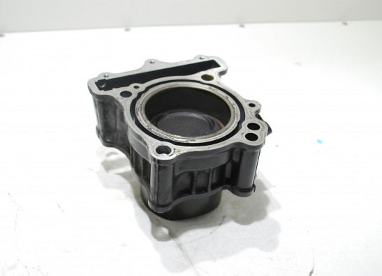 Cilinderblok Suzuki SV 650