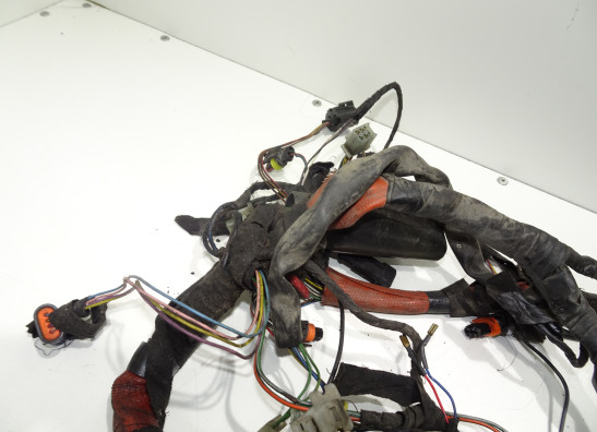 Kabelboom Aprilia Tuono 1000