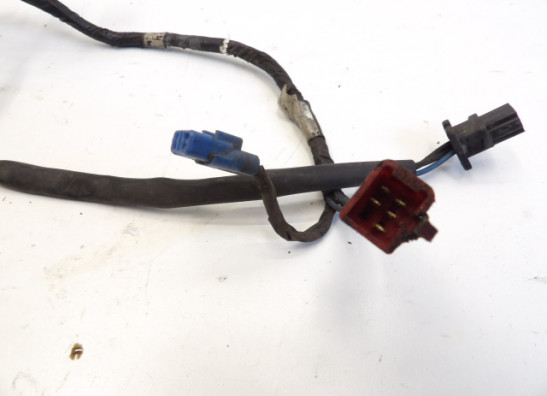 Kabelboom Honda Goldwing GL