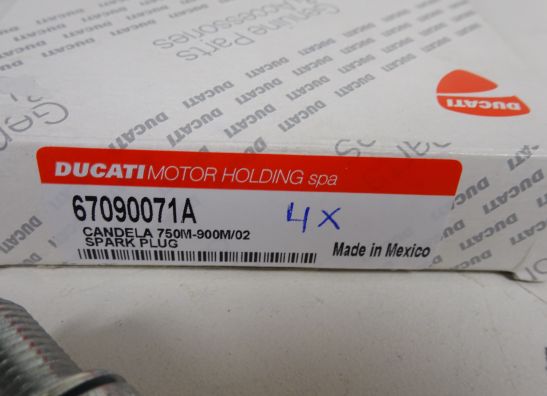 Bobine Ducati monster 900