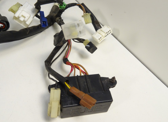 Kabelbaum Yamaha FAZER 600