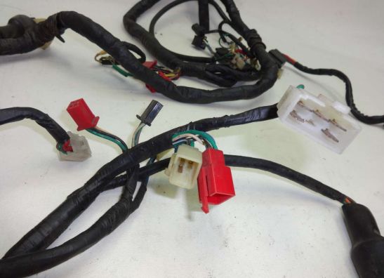 Kabelboom Honda VF 500 