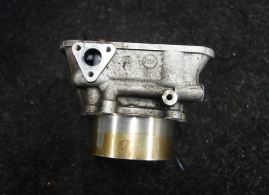 Cylinders Ducati Monster S4