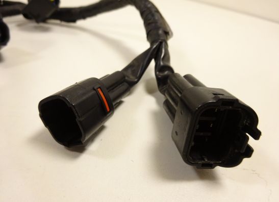 Kabelbaum Yamaha YZF R6