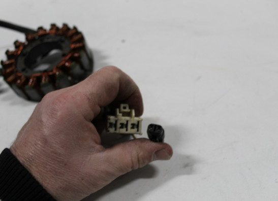 Dynamo Aprilia Shiver 750