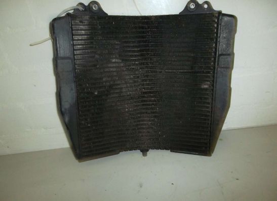 Radiateur Suzuki GSX R 750