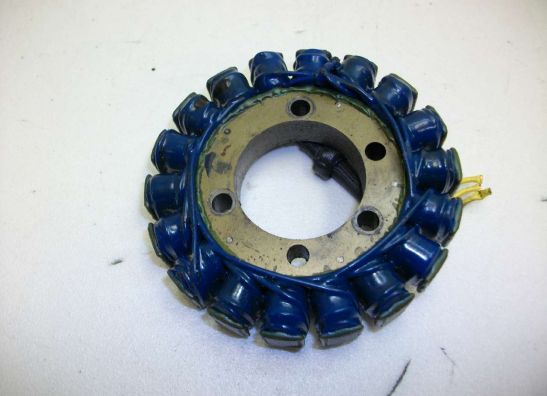 Dynamo Kawasaki ZZR 600