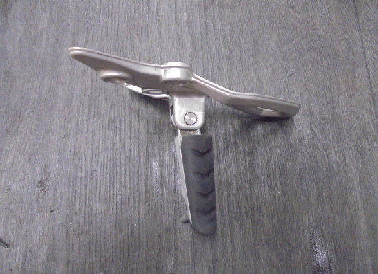 Schetsplaat links BMW R 1250 R