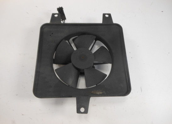 Fan BMW F 800 S - ST