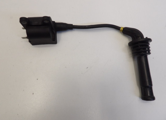 Bobine Triumph Trophy 900