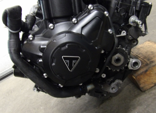 Motorblok Triumph Tiger 900 Rally Pro