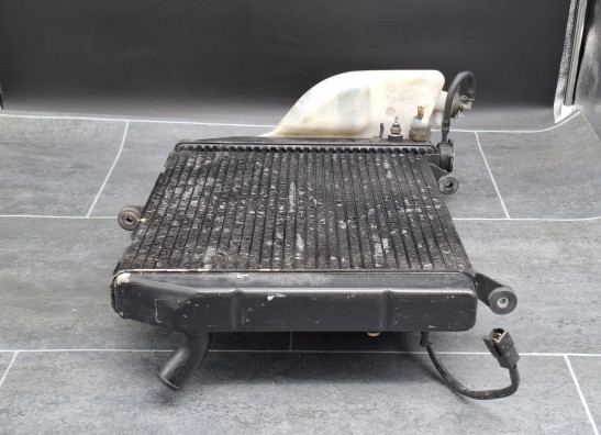 Radiator Yamaha YZF R1