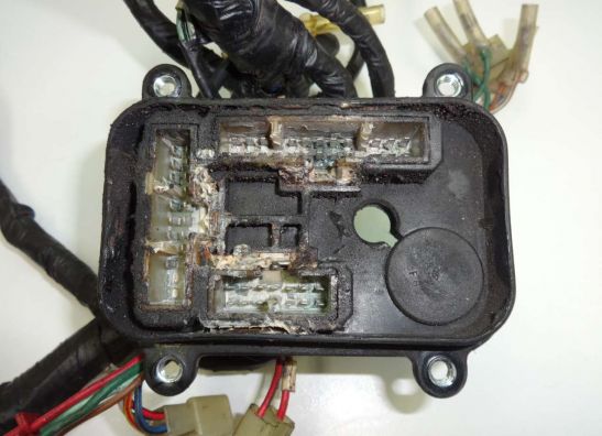 Wire Harness Honda Goldwing GL