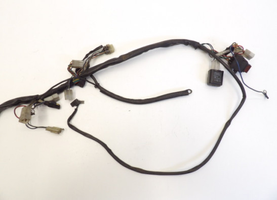 Kabelbaum Aprilia Pegaso