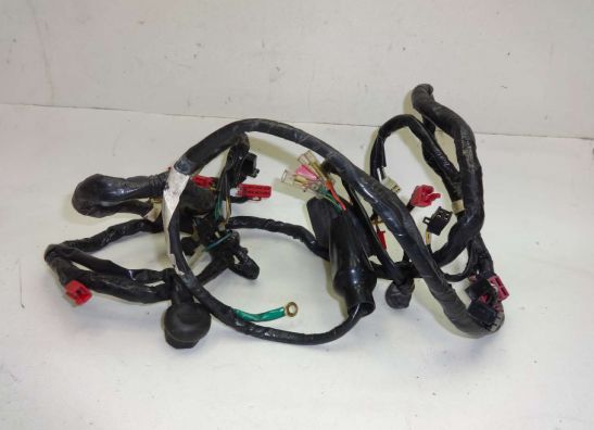 Kabelboom Honda CBR 1000 F