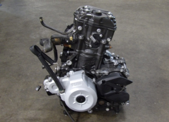 Engine BMW G 310 GS 2016-2020