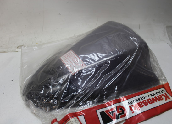 Scheibe Windschild Kawasaki ZX 10 R