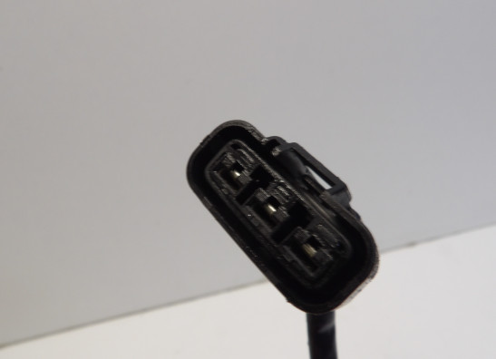 Dynamo Benelli TRK 502 X