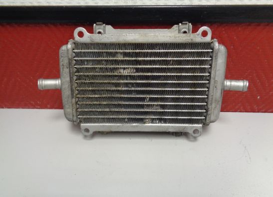 Radiateur Vespa Gts 300 2014-2016