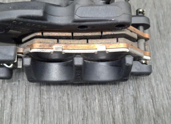 Achter remklauw BMW R 1250 GS