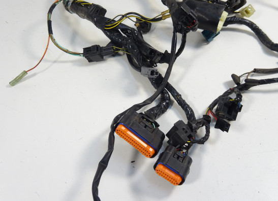 Wire Harness Kawasaki ER 6