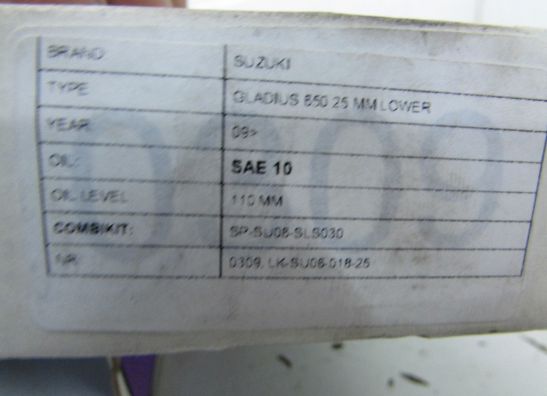 Overig Suzuki SFV 650 Gladius