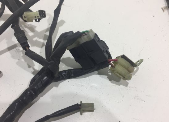 Wire Harness Yamaha FJR 1300