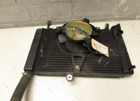 Kuhler Yamaha FZR 600