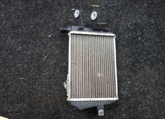 Radiateur BMW R 1250 GS Adventure