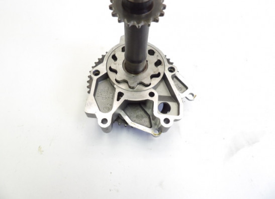 Motorblok diverse BMW R 1100  1150 RS